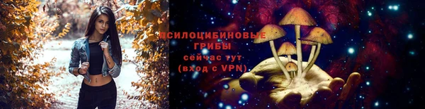 прущая мука Кулебаки
